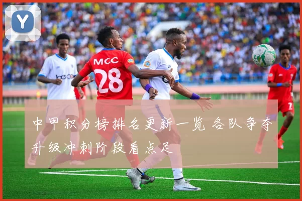 中甲积分榜排名更新一览 各队争夺升级冲刺阶段看点足